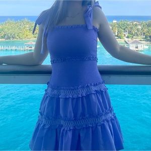 The impeccable pig purple dress, size small, worn once, no tags